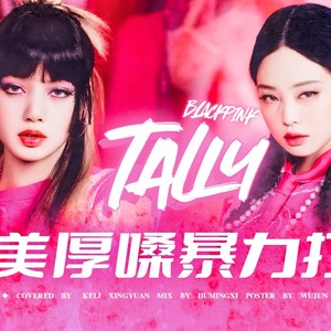 TALLY (remix:克粒|星愿 I.C.E.Y)