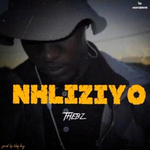 Thebz rsa_Nhliziyo