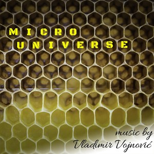 Micro Universe (Explicit)