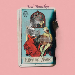Halsey - Now Or Never  (Ted Remix)