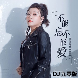 吉萍 - 不能忘不能爱 (DJ九零版伴奏)