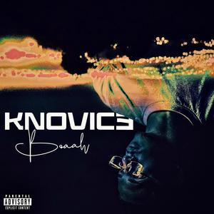 KNOVICE (Explicit)