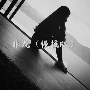 非花 (慢摇版)