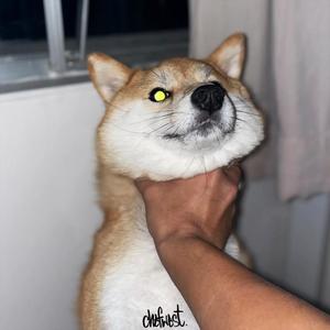 DON'T GO...... (feat. 黄药师)