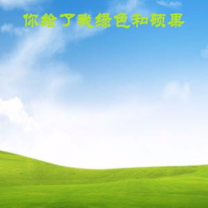 马向雷 - 你给了我绿色和硕果