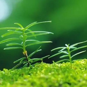 爱情一瞬间相遇