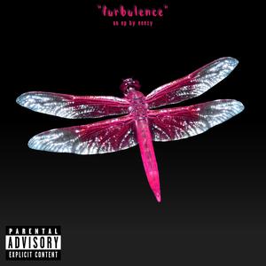 turbulence (Explicit)