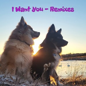 I want you (Remixes)