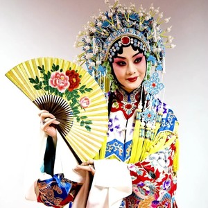 评剧(花为媒)闷坏了女婵娟封面
