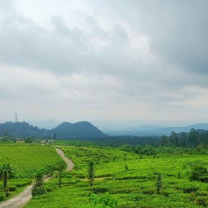 Jangan fikir kau bisa per mainkanku