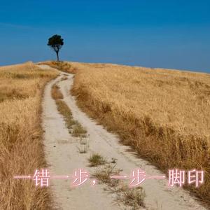 记录那些落选的试音