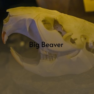 Big Beaver