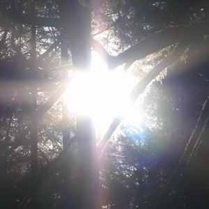 Don't lose me (Explicit)