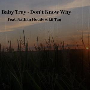 Dont know why (feat. Nathan Houde & Baby Trey) [Explicit]