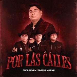 Por Las Calles (feat. Alto Nivel)