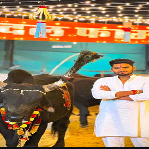 Jaipur Goraksa Dal 2