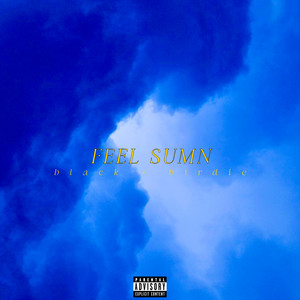 FEEL SUMN (Explicit)