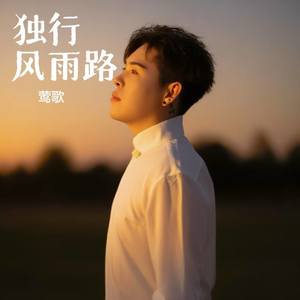 独行风雨路