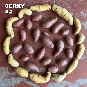 Jerky (Ergonomic Doggy Mix)