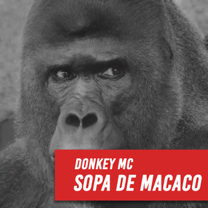 Sopa de Macaco