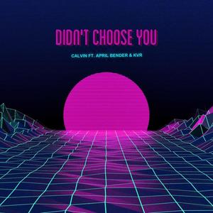 Didn't Choose You