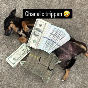 dividends (feat. bceezy) (Explicit)