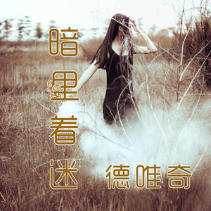 暗里着谜 (广场舞)