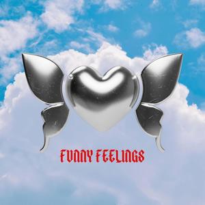 FUNNY FEELINGZ (Explicit)