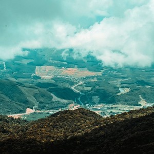 催眠音乐盒 - 哄婴儿的催眠曲.风吹麦田