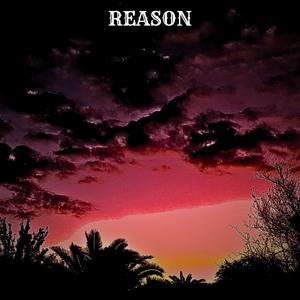 Reason (Explicit)