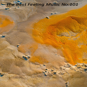 三只小猫 (2025 Edit)