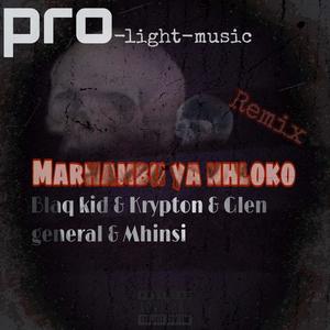 Pro-light-music Marhambu Ya Nhloko (Remix) [Explicit]