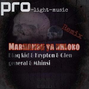 Pro-light-music Marhambu Ya Nhloko (Remix|Explicit)