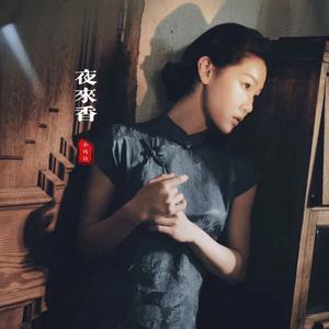 夜来香 (伴奏)