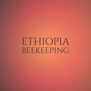 Ethiopia Beekeeping