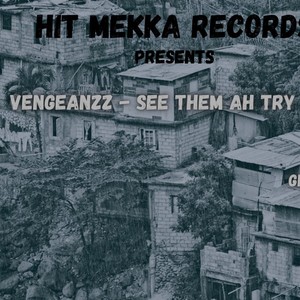 See them ah try (feat. Vengeanzz) [Explicit]