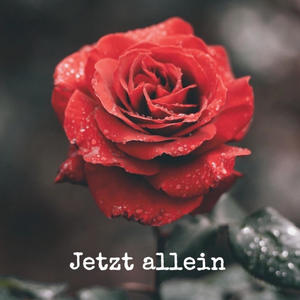 Jetzt allein (feat. Flolewo)