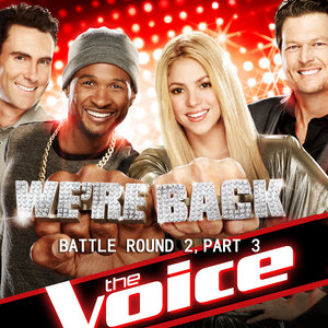 F**kin' Perfect (The Voice Performance)