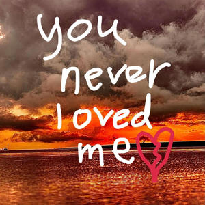You never loved me (feat. Nick Bonin & T9LER) (Explicit)