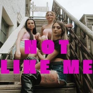 Not like me (Explicit)