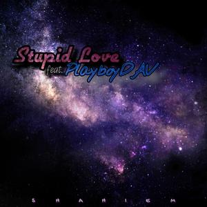 Stupid Love (feat. PlayboyDAV)