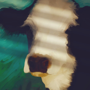 Moo Moo (Explicit)