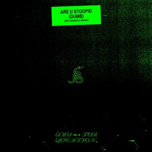 are you stoopid (dumb) [SMS for Location, Vol. 3] [Explicit]