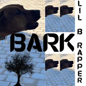 bark (Explicit)