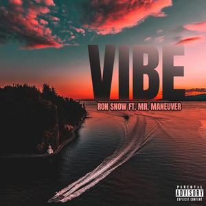 VIBE (feat. Mr. Maneuver) [Explicit]