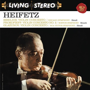 Violin Concerto in A Minor, Op. 82 - II. Andante sostenuto
