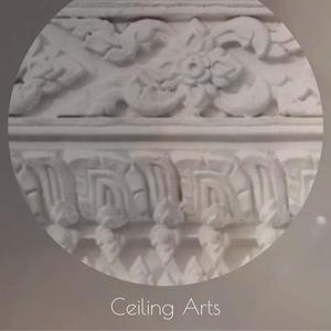 Ceiling Arts