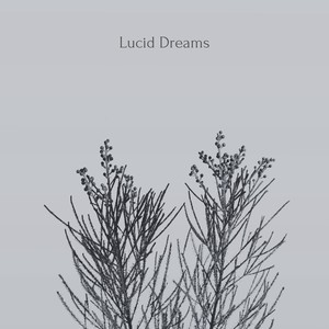 Lucid Dreams