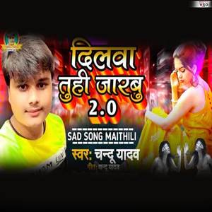 Dilwa Tu Hi Jarbu 2.0