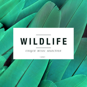 Wildlife - Unique Music Selection, Vol. 1